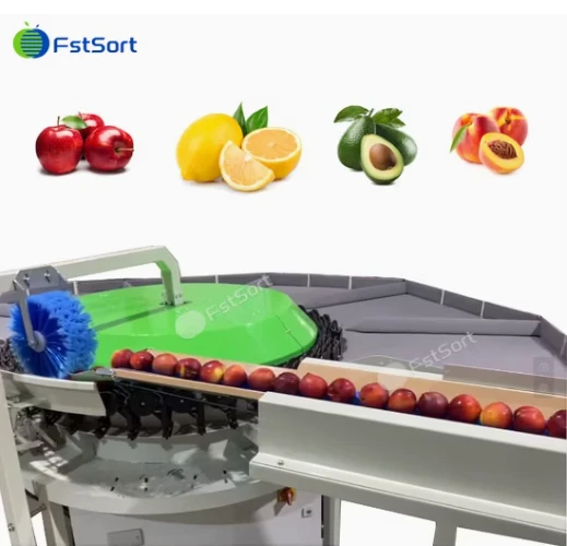 Citrus Circular Weight Sorting Machine price