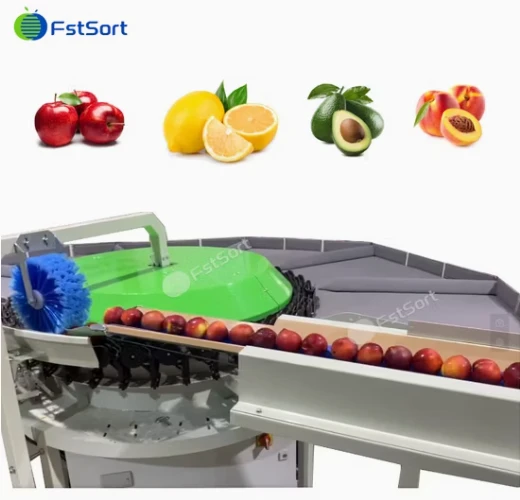 Citrus Circular Weight Sorting Machine factory
